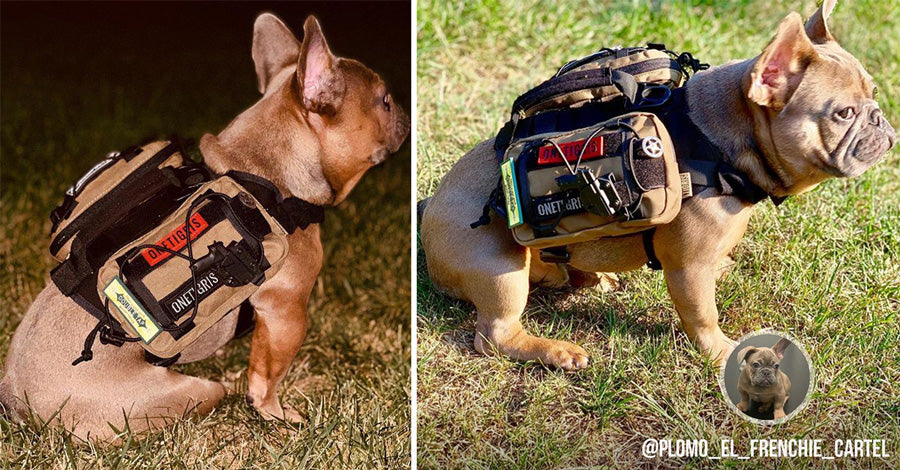 Hooala Canine EDC Dog Pouch