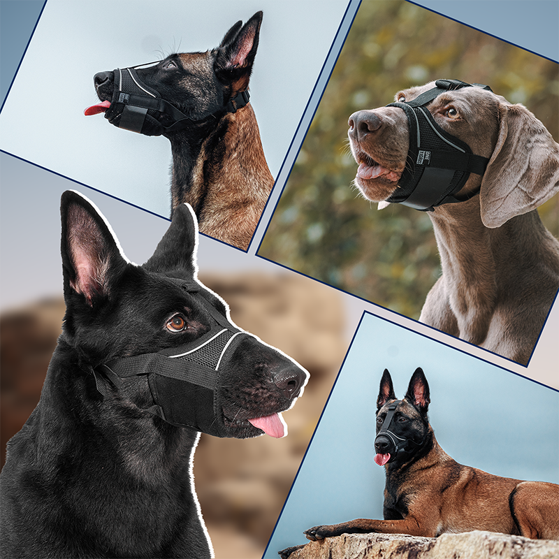 Soft Canine Muzzle 02