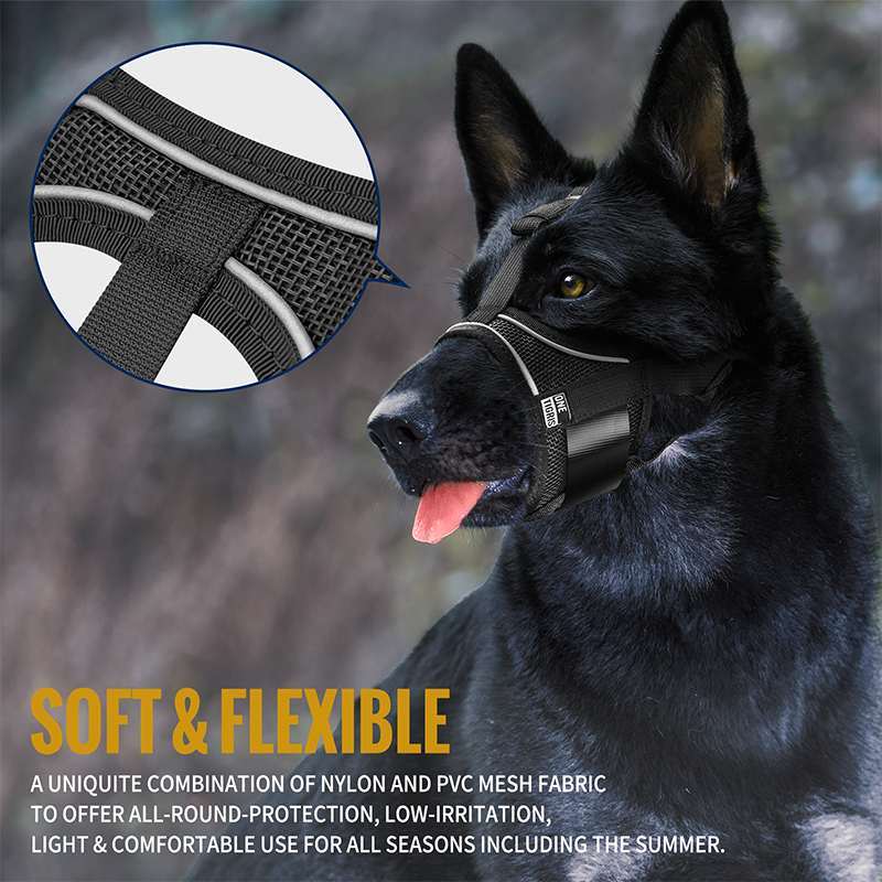 Display of Soft Canine Muzzle 02